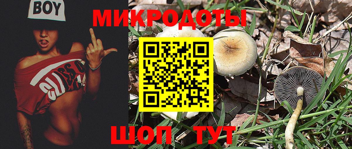 Псилоцибиновые грибы Psilocybine cubensis  Вход с VPN  Сегежа 